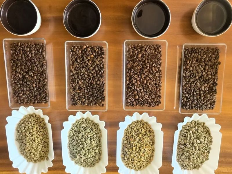 咖啡豆精品咖啡豆生熟豆，草莓味的咖啡，花魁，耶加雪菲