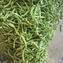 豆