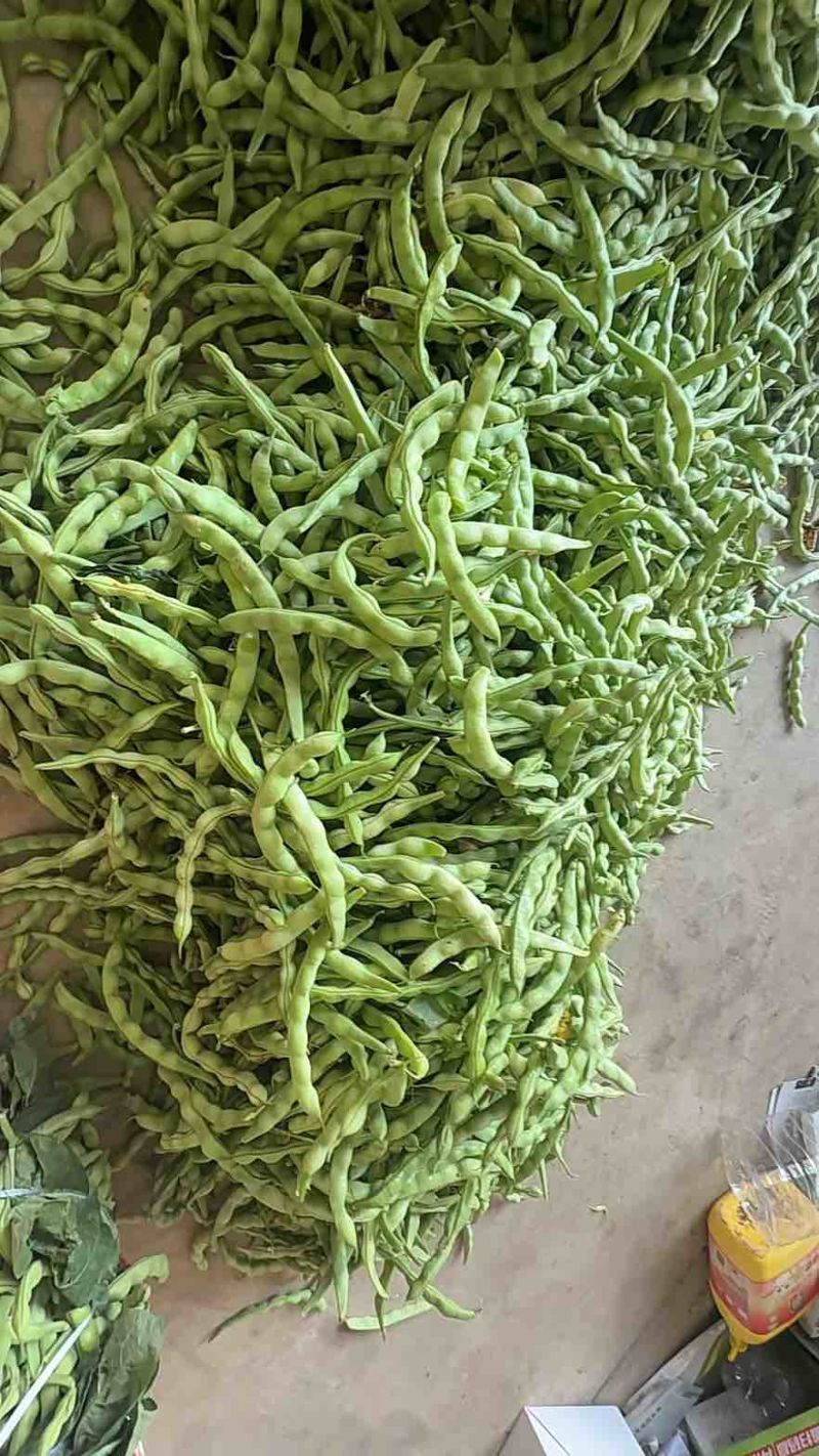 豆