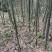 需要的可以联系我