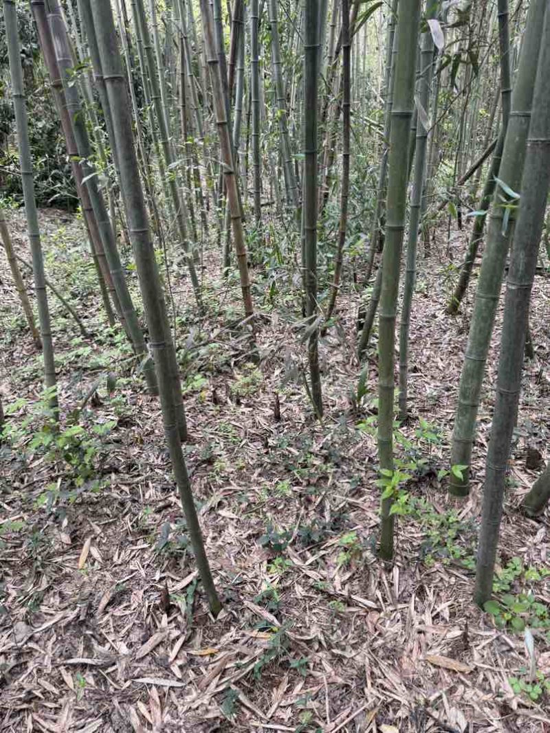 需要的可以联系我