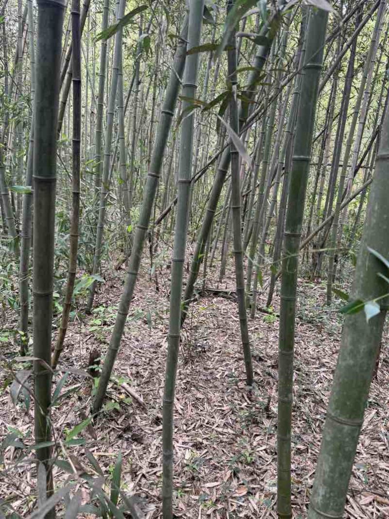 需要的可以联系我