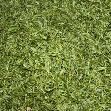 桐城小花茶