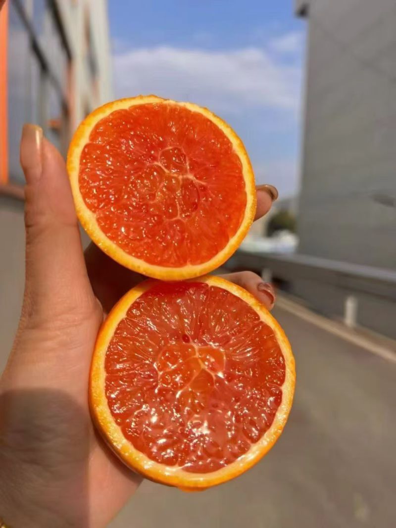 湖北秭归脐橙