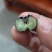 鲜果蓝莓