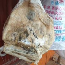 正宗底尼火腿