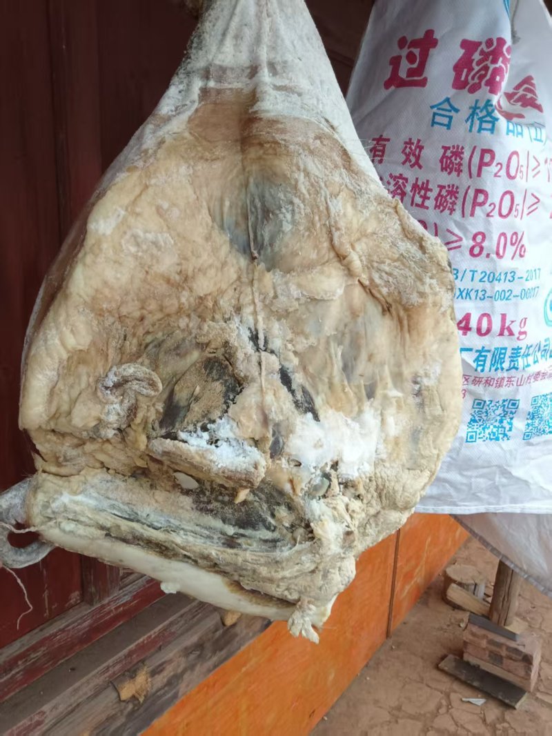 正宗底尼火腿