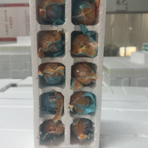 活珠子