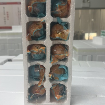 活珠子