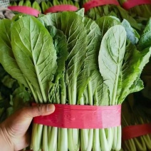 各种蔬菜