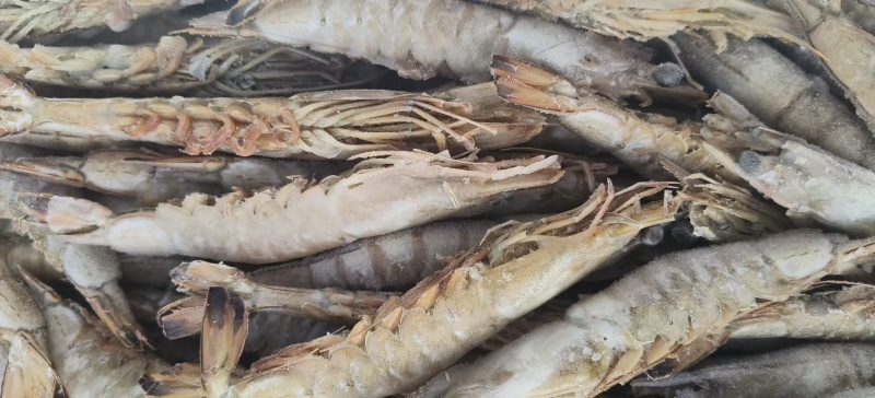 大海虾，6-8头