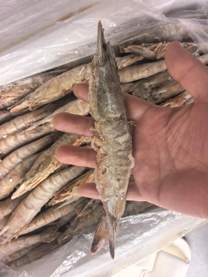 大海虾，6-8头