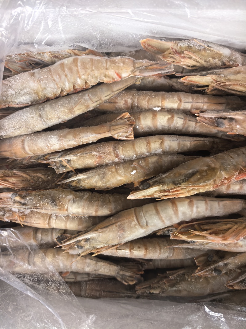 大海虾，6-8头