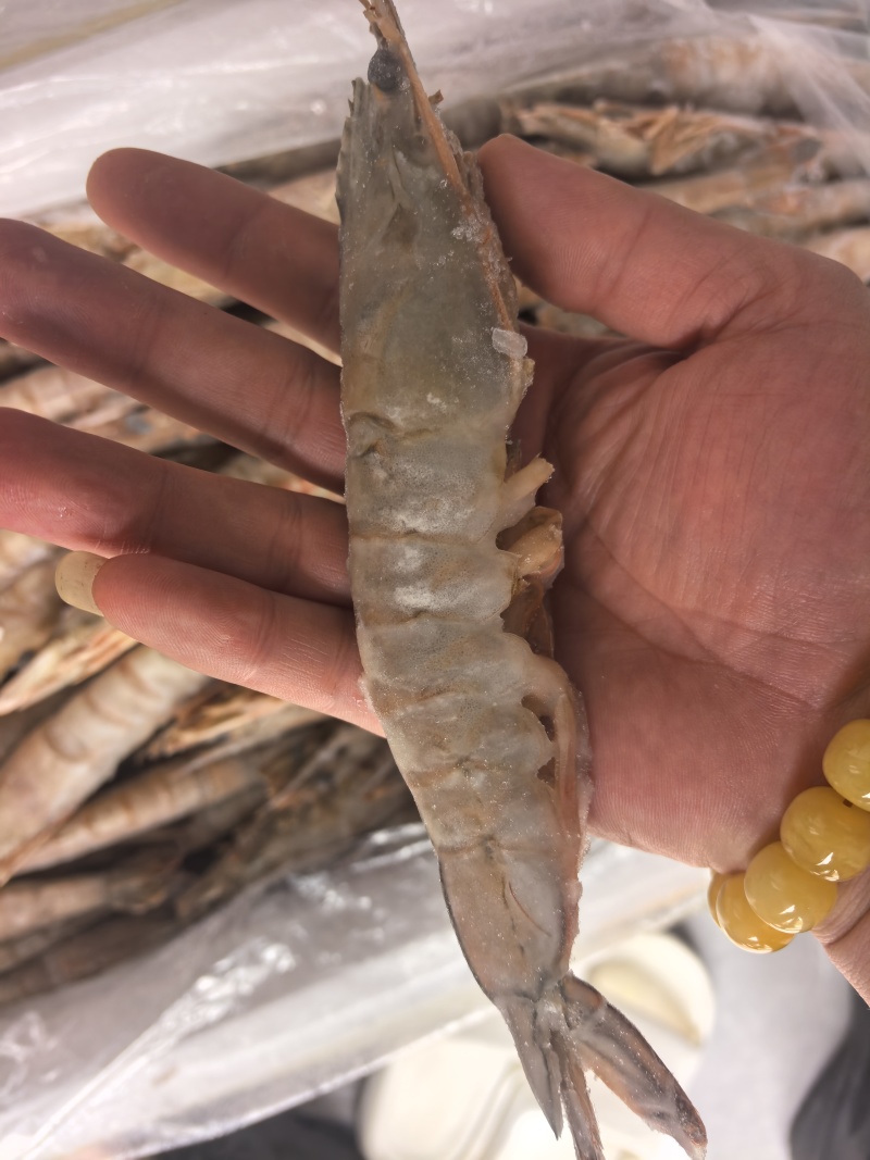 大海虾，6-8头