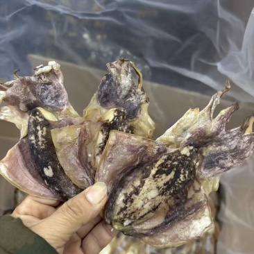 墨鱼干