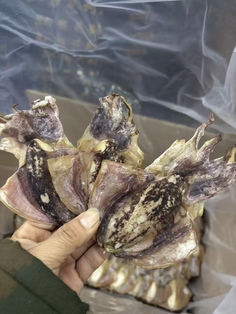 墨鱼干