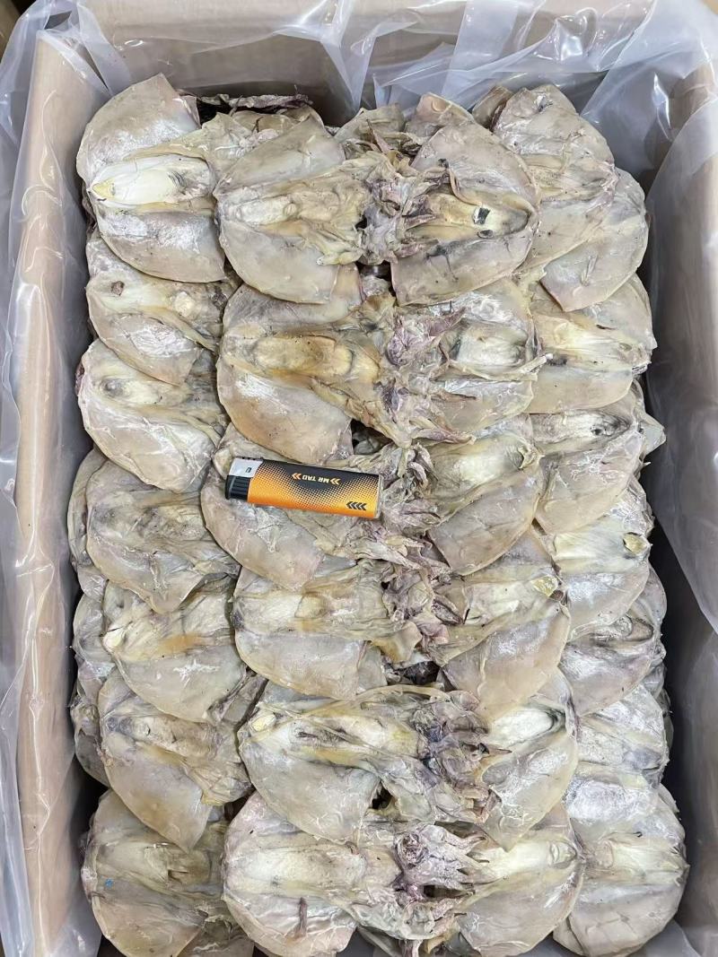 墨鱼干