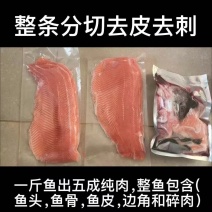 新疆国产虹鳟三文鱼