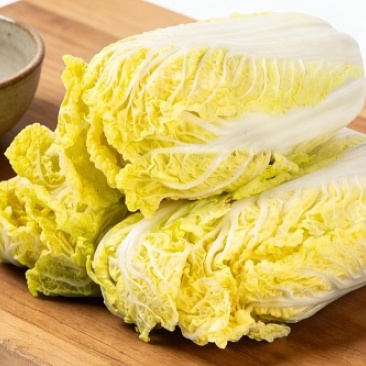 自己家里地种的大白菜