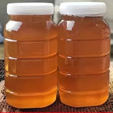 土蜂蜜