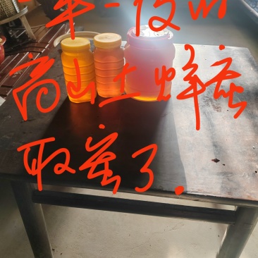 正宗农家高山土蜂蜜（一年取一次蜜）
