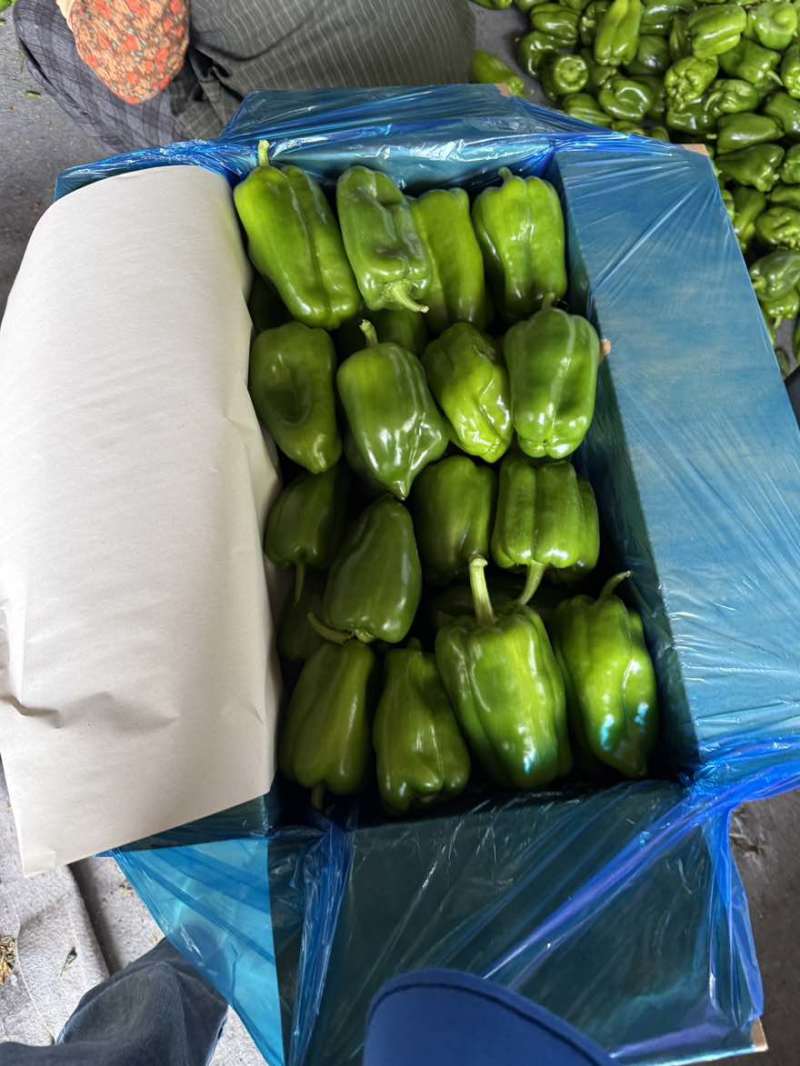 圆椒精品，通货，大通货
