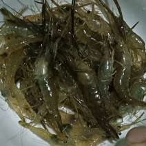 河虾