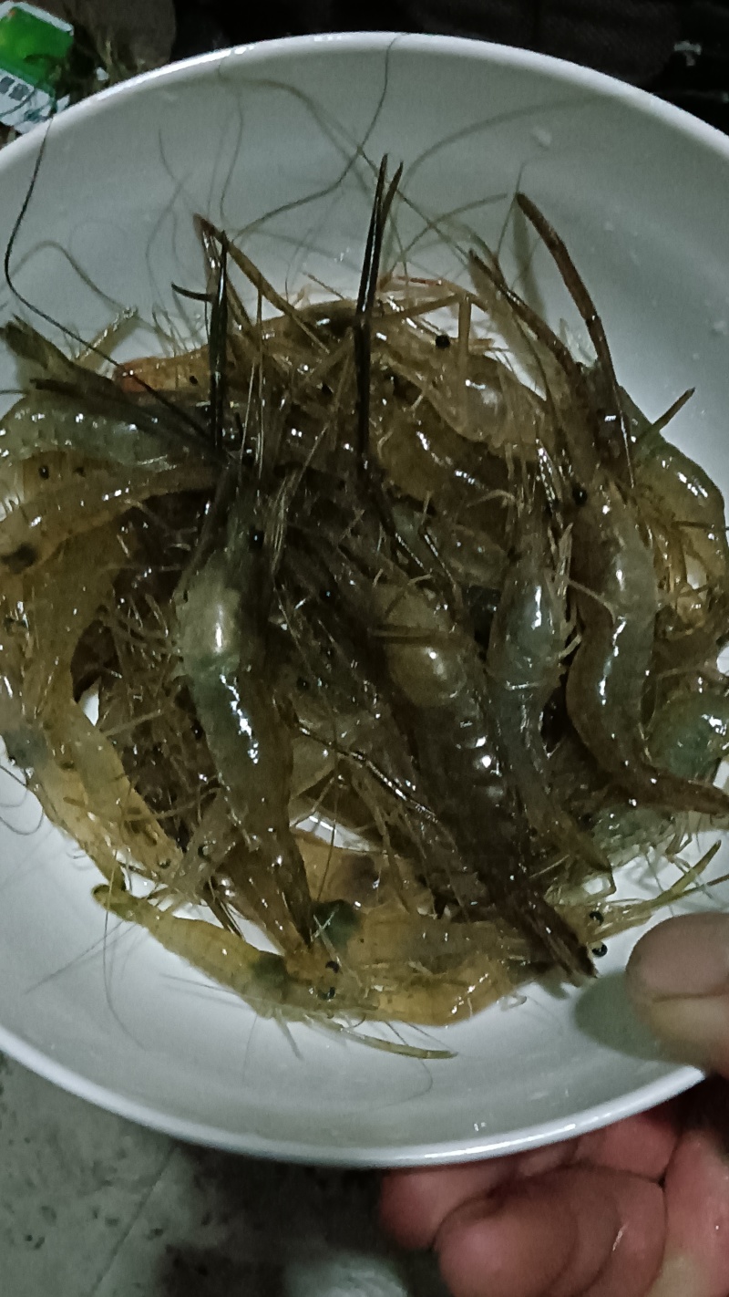 河虾