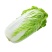 白菜🥬