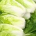 白菜🥬
