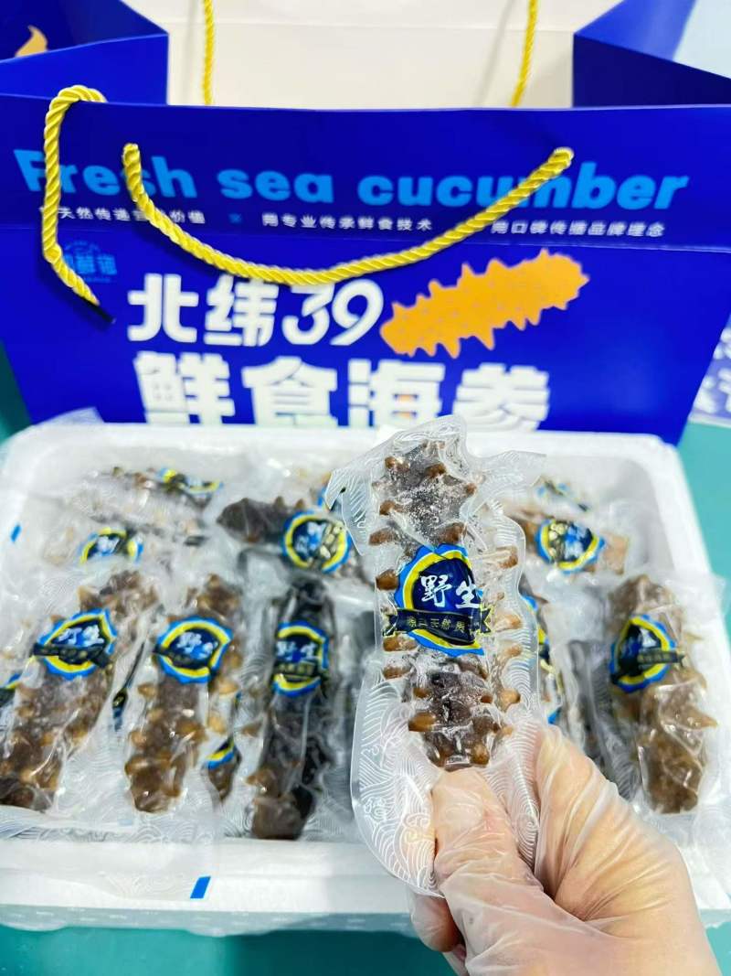 即食海参大头4-8