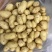 湖南湘西黄心小土豆