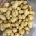 湖南湘西黄心小土豆