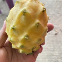 燕窝果