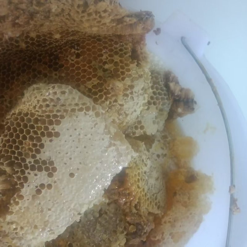 高海拔的中蜂土蜂蜜，100斤以上80元起批