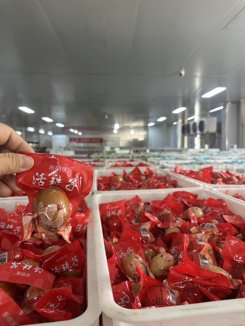 活珠子活珠子活珠子活珠子活珠子活珠子活珠子活珠子活珠子活珠子