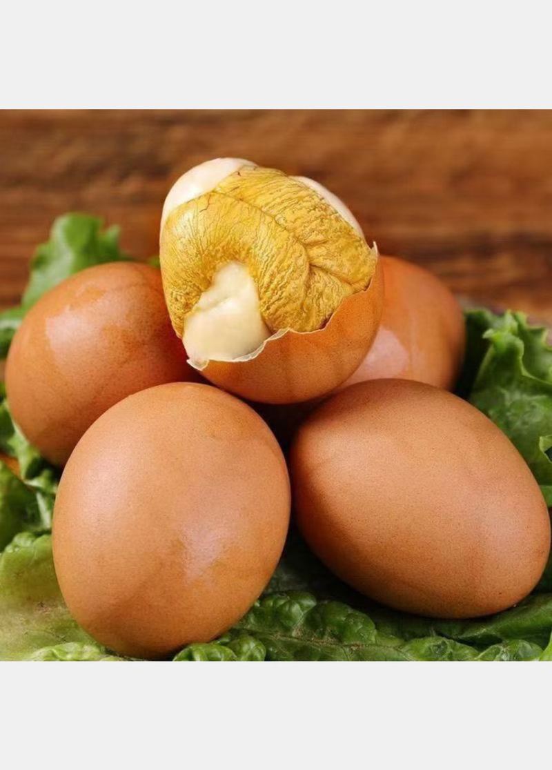 活珠子活珠子活珠子活珠子活珠子活珠子活珠子活珠子活珠子活珠子