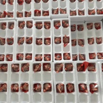 活珠子活珠子活珠子活珠子活珠子活珠子活珠子活珠子活珠子活珠子