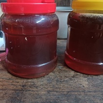蜂蜜自己蜂蜜