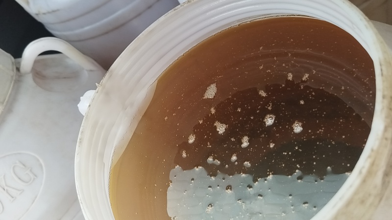 贵州陈年茶油