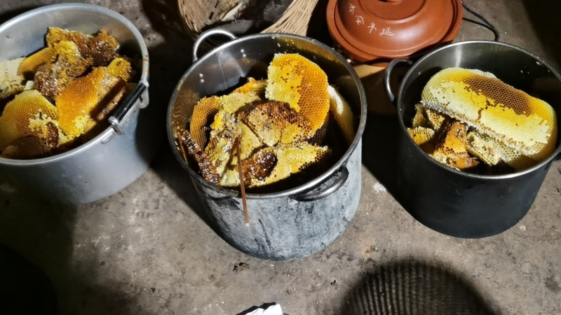 中华蜂，土蜂蜜
