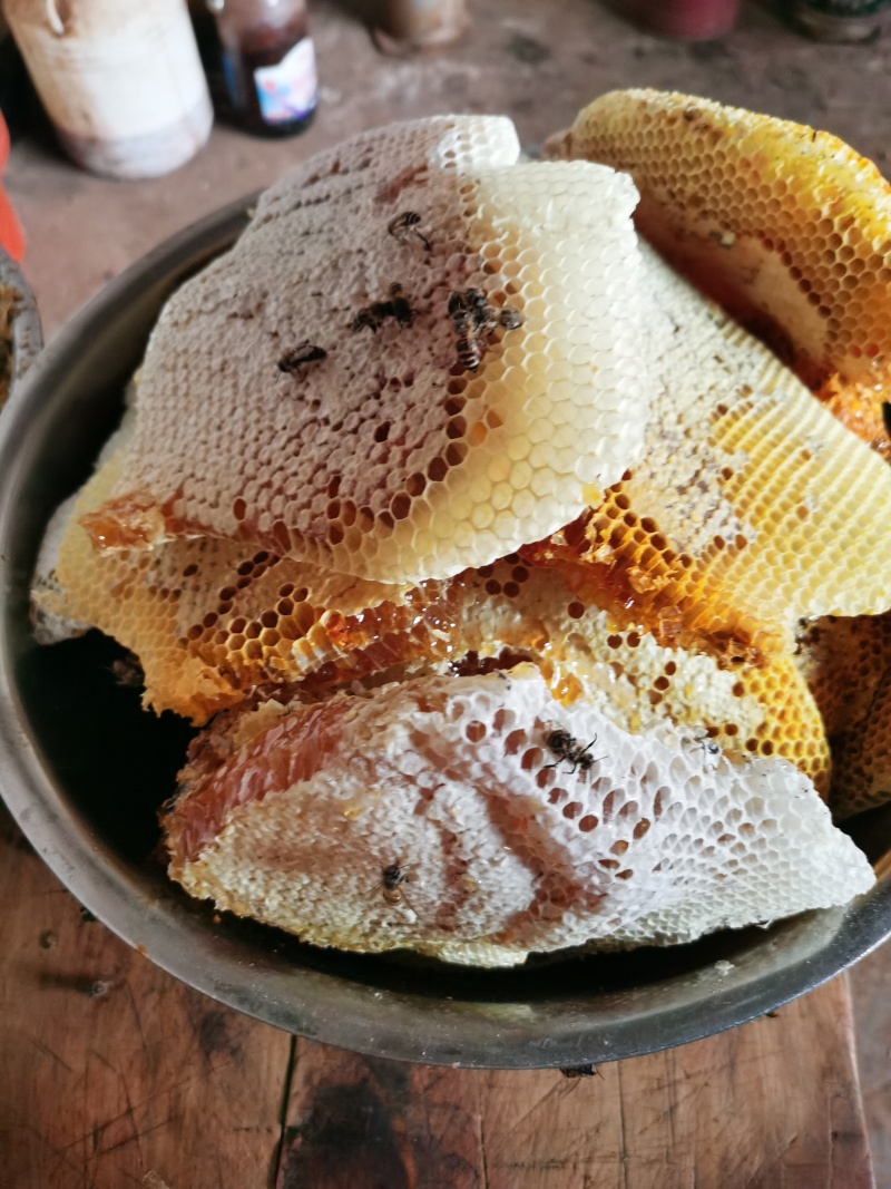 中华蜂，土蜂蜜