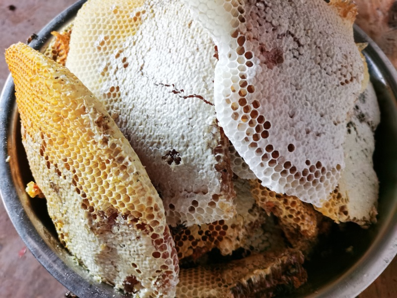 中华蜂，土蜂蜜