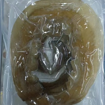 甲鱼裙边
