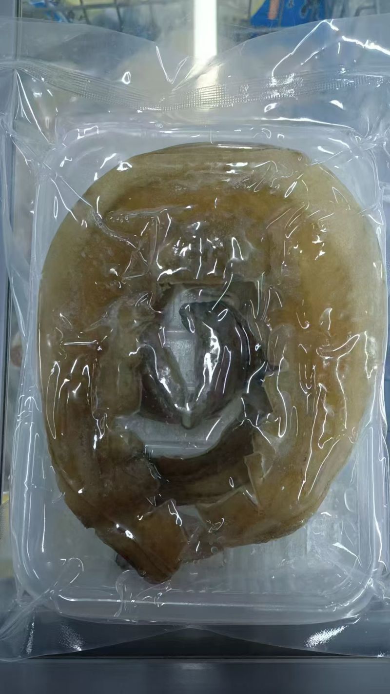 甲鱼裙边