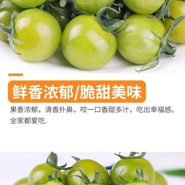青甜2号小番茄