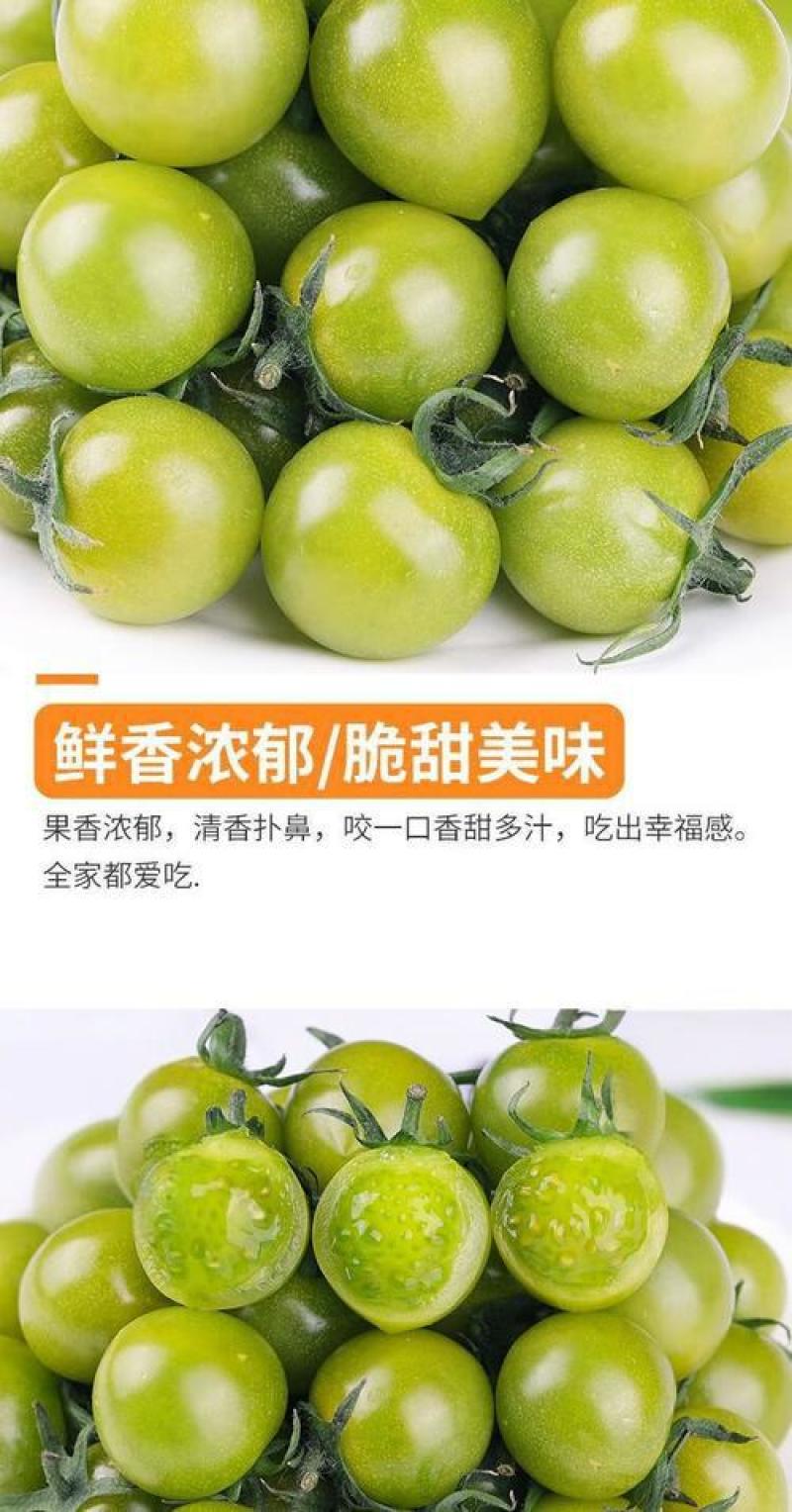 青甜2号小番茄