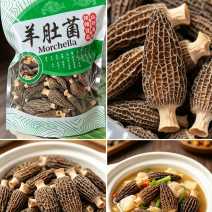 湖北襄阳羊肚菌