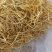 精品祁东县黄花菜一手货源全国发货量大价优欢迎随时联系