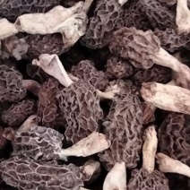 羊肚菌干货